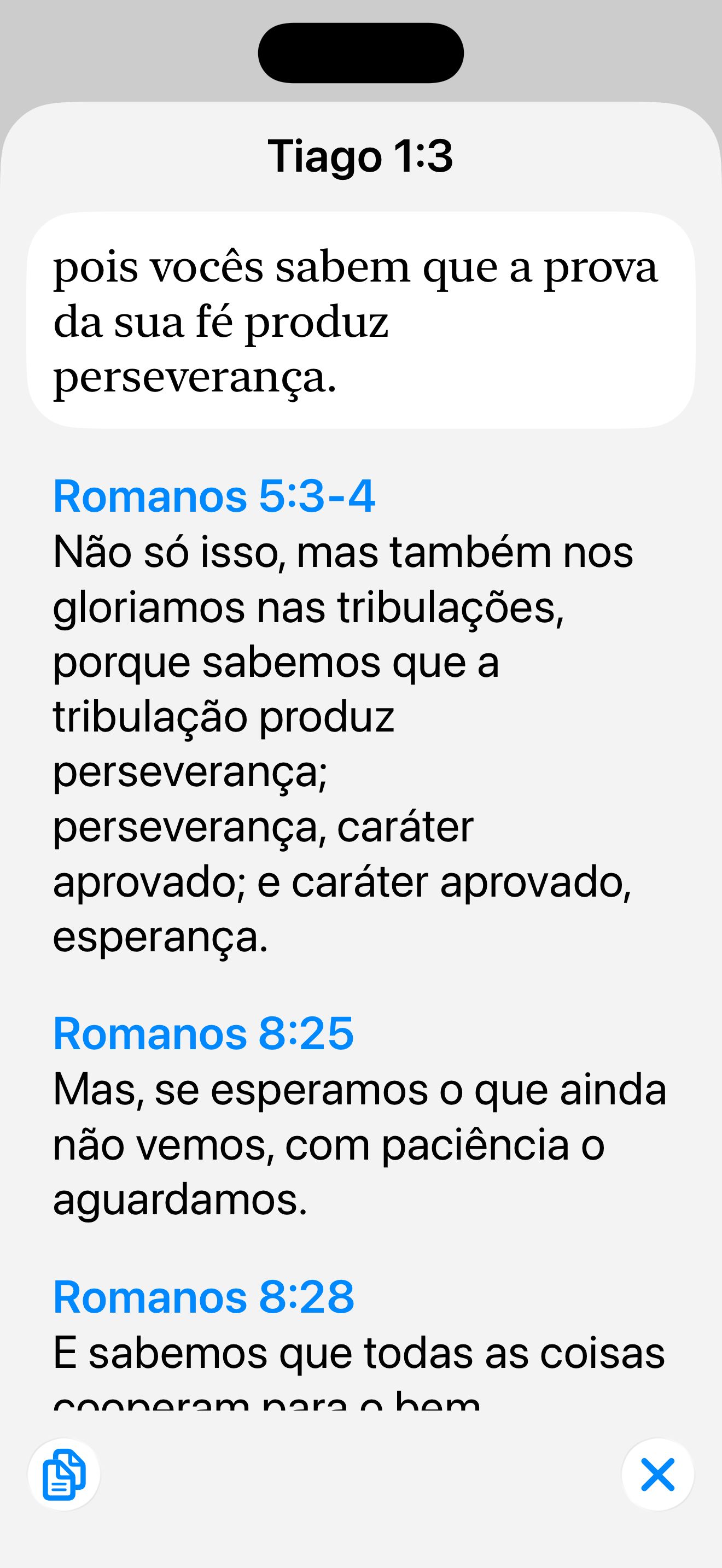 Visualização de leitura limpa com destaques.